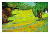 Sunny Lawn Autocollant mural par Vincent van Gogh