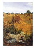 94 Degrees In The Shade Wall Decal by Sir Lawrence Alma-Tadema