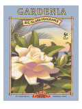Gardenia Wall Decal by Kerne Erickson