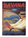Havana Wall Decal by Kerne Erickson