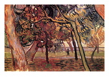 Study of Pine Trees Wall Decal by Vincent van Gogh