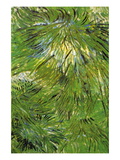 Grass Wall Decal by Vincent van Gogh
