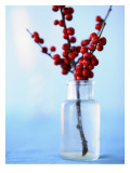 Winterberry Holly Wall Decal