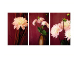 Pink Dalias Triptych Wall Decal