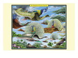 An Orientation of Persian Peacocks Wall Decal by Richard Kelly