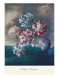 Group of Carnations Wall Decal