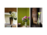 Spring's Stems Triptych Wall Decal