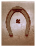 Lucky Horse Shoe on Dusty Rose Metallic I Mode (wallstickers) Lucky Horse Shoe on Dusty Rose Metallic I Mode (wallstickers)