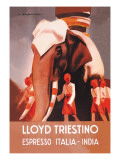 Lloyd Triestino Espresso Itali India wandtattoos von Marcello Dudovich