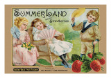 Etiqueta de cajón: Etiqueta de cajón: