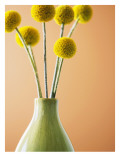 Yellow Bouquet Wall Decal