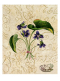 Vintage African Violets with Toad Autocollant mural