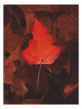Fiery Leaf Wall Decal