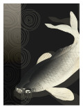 Koi Under Night Water Wall Decal