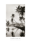 Coco Palms, Honolulu, 1935 Autocollant mural