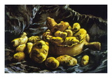 Earthen Bowls Wall Decal by Vincent van Gogh