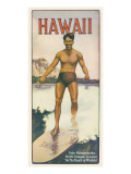 Duke Vinilos decorativos Duke Vinilos decorativos