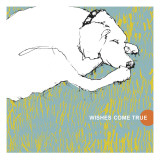 Wishes Come True Wall Decal