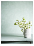 White Bouquet Vinilos decorativos White Bouquet Vinilos decorativos