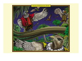 A Cast of Shakespearean Hawks Wall Decal by Richard Kelly