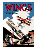 Wings Wall Decal by Rudolph Belarski
