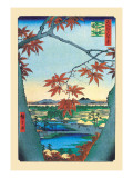 The Maple Trees Wall Decal by Ando Hiroshige