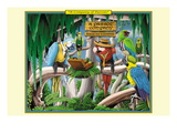 A Company of Parrots Wall Decal by Richard Kelly