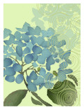 Hortensia azul Vinilos decorativos Hortensia azul Vinilos decorativos