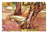 The Stone Bench In The Garden of Saint-Paul Hospital Wall Decal by Vincent van Gogh