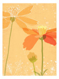 Poppies in Orange Muursticker