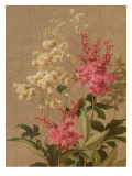 Red and Painted Trillium Vinilos decorativos Red and Painted Trillium Vinilos decorativos