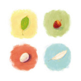 Nature's Ephemera Four Patch Wall Decal