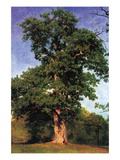 Pioneers of The Forest Autocollant mural par Albert Bierstadt
