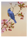 Blue Bird on Cherry Blossom Branch Wall Decal