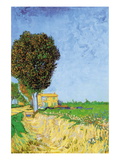 Alane Near Arles Vinilos decorativos por Vincent van Gogh