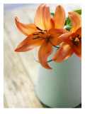 Orange Lilies in White Pail Wall Decal