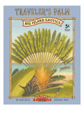 Traveler's Palm Vinilos decorativos por Kerne Erickson