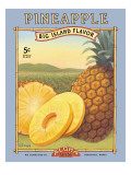 Pineapple Wall Decal by Kerne Erickson