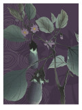 Eggplant Evening Wall Decal