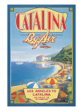 Catalina by Air Wall Decal by Kerne Erickson