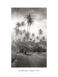Coconut Grove, Lahaina, 1910 Veggoverføringsbilde av Ray Jerome Baker