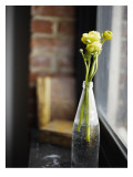 Buttercups at Window Wall Decal