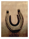 Lucky Horse Shoe on Dusty Rose Metallic II Autocollant mural