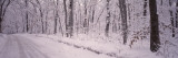 Snow Covered Road, Holland, Michigan, USA Vinilos decorativos por Panoramic Images