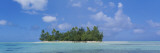 Palm Trees on an Island, Bora Bora, French Polynesia Vinilos decorativos por Panoramic Images Palm Trees on an Island, Bora Bora, French Polynesia Vinilos decorativos por Panoramic Images