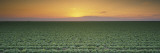 Lettuce Field at Sunset, Fresno, San Joaquin Valley, California, USA Wall Decal by Panoramic Images 