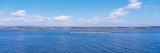 Crew Rowing on a Lake Wall Decal by Panoramic Images 