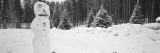 Snowman in a Forest, Winter Park, Colorado, USA Wall Decal by Panoramic Images 