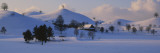 Trees on a Snow Covered Landscape, Canton of Zug, Switzerland Vinilos decorativos por Panoramic Images