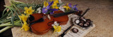 High Angle View of a Violin with Flowers Wall Decal by Panoramic Images 